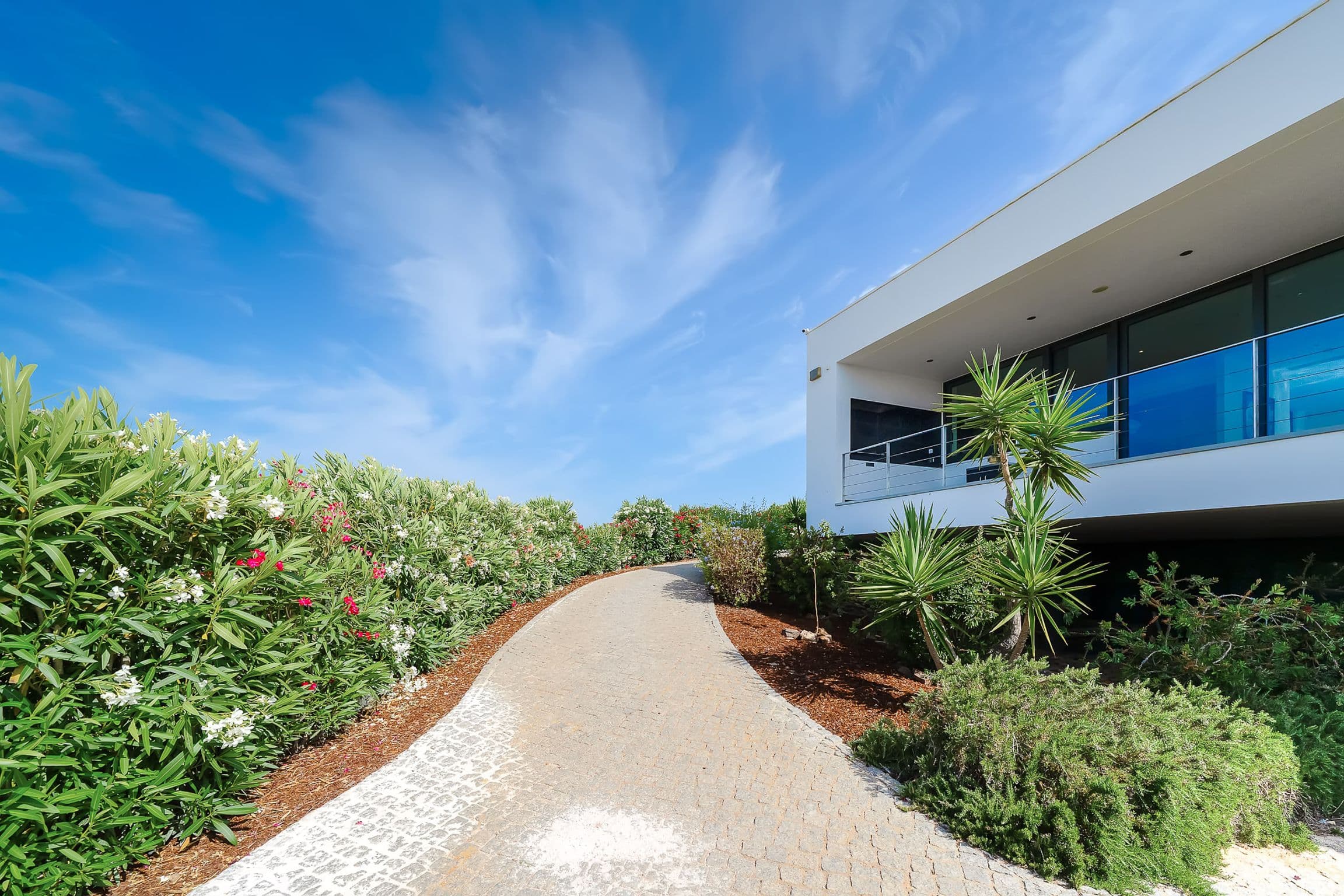 Cobbled path lined with flowering oleanders leading to the glass terrace of the house