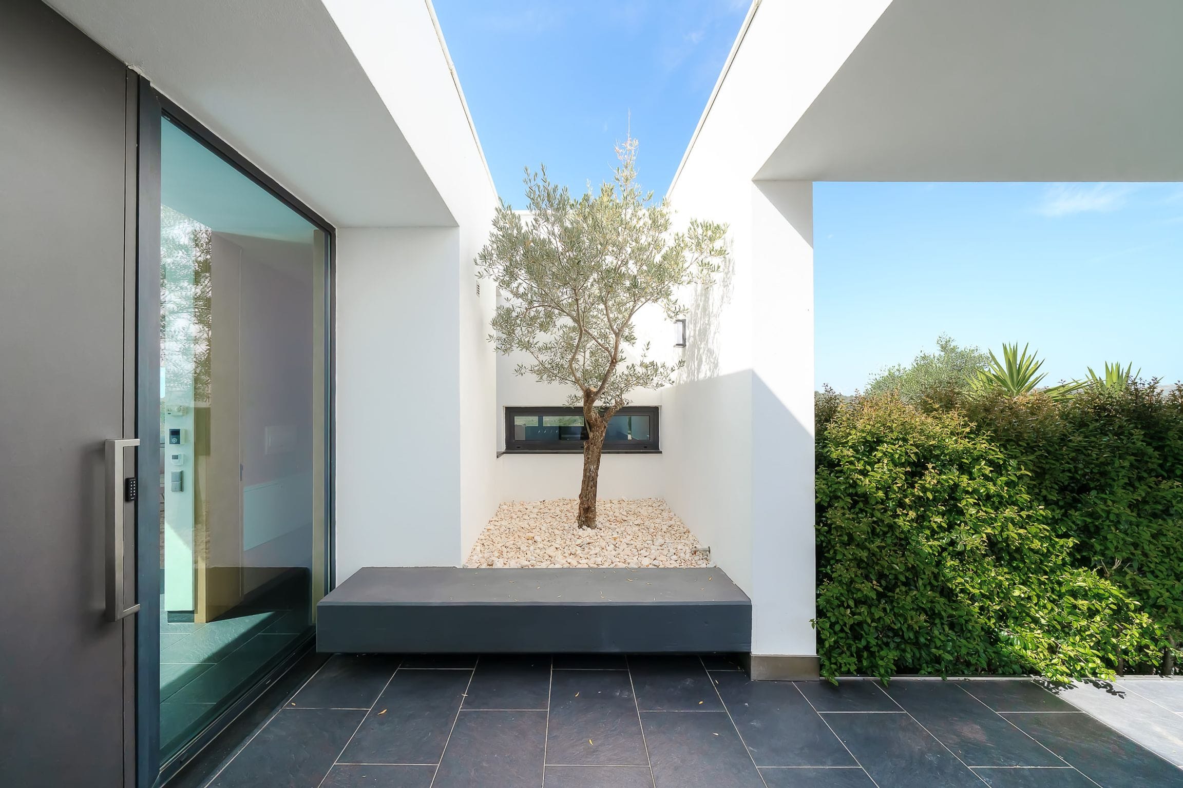White-walled entrance court framing a single olive tree beside the glass front door