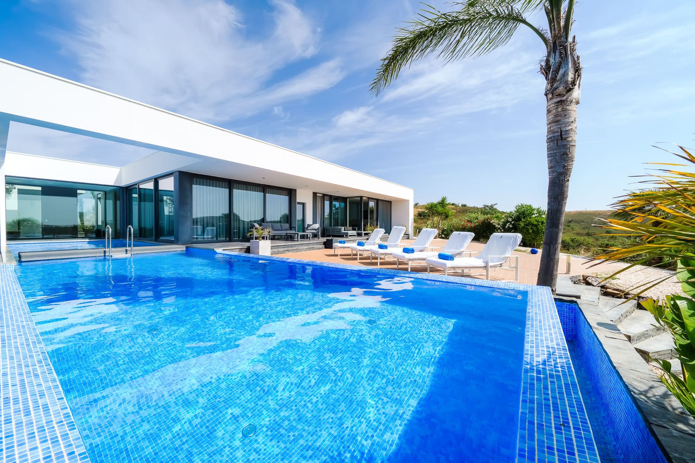 Wide view across the pool to the house, loungers lined along the deck and a palm overhead