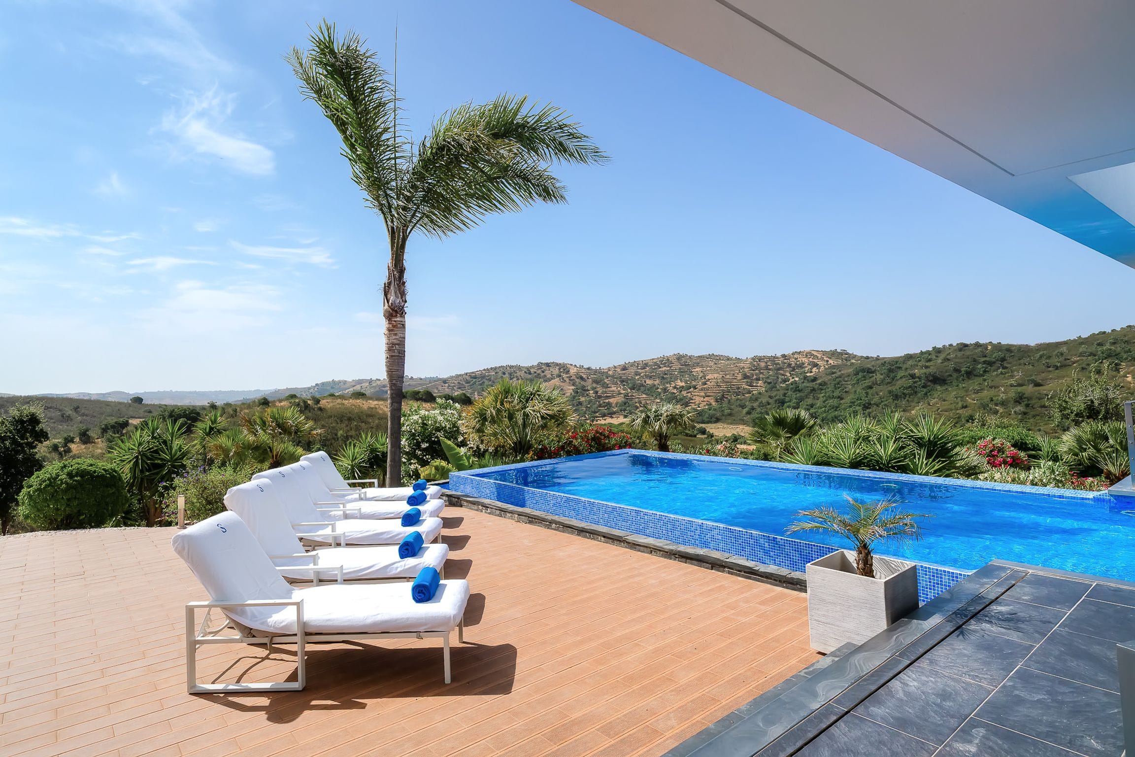 Sun loungers on a warm timber deck beside the infinity pool, a tall palm and green hills beyond