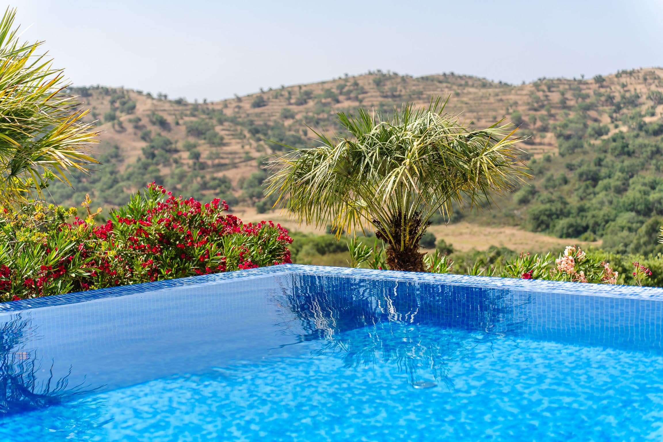 Close view of the infinity pool's tiled edge with flowering oleander and terraced hills behind