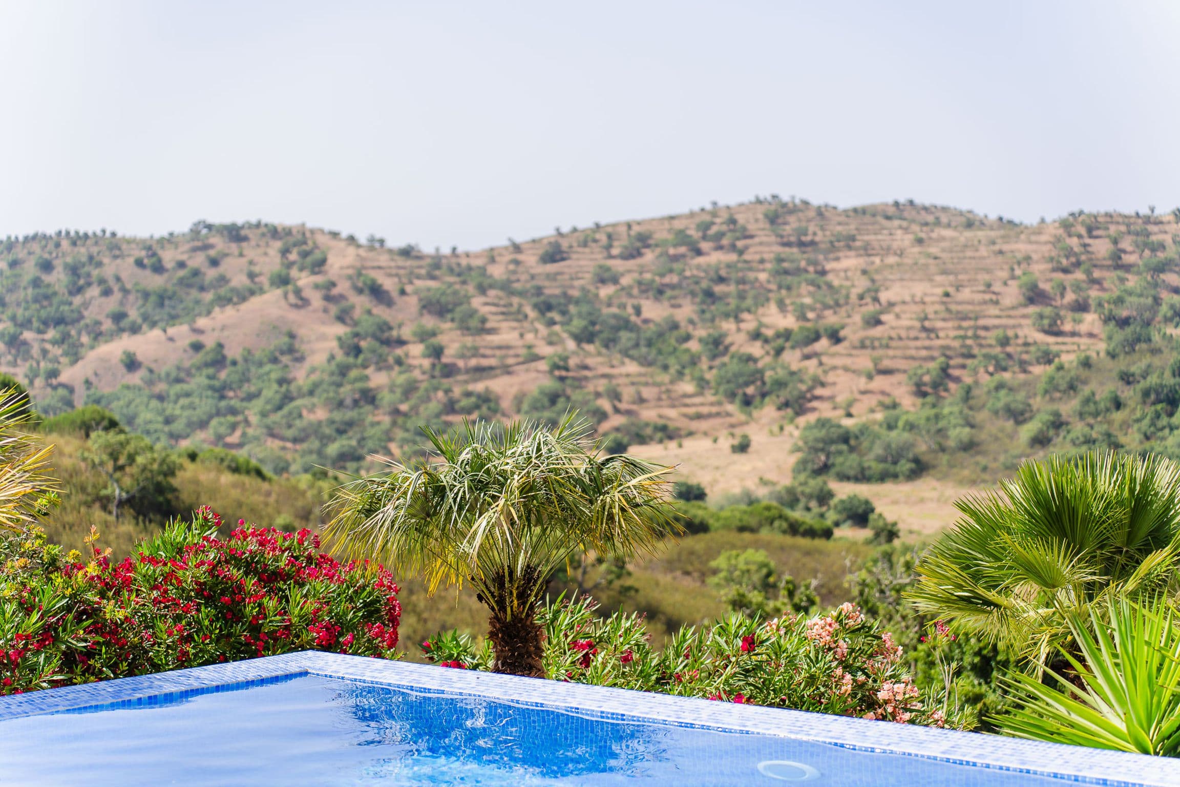 Terraced hillsides seen across the edge of the pool, with palms and red oleander in the foreground